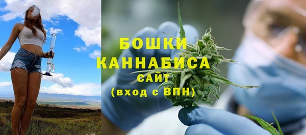 ECSTASY Гусь-Хрустальный