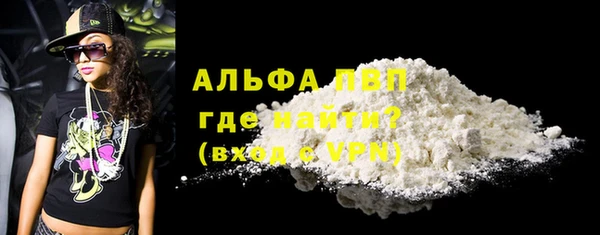 молекула духа Ахтубинск