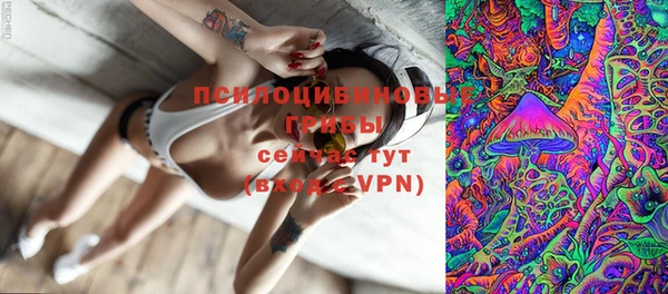 бутират Гусев