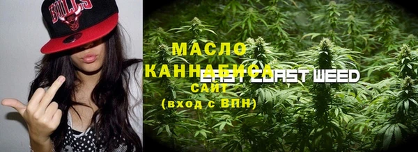 ECSTASY Гусь-Хрустальный