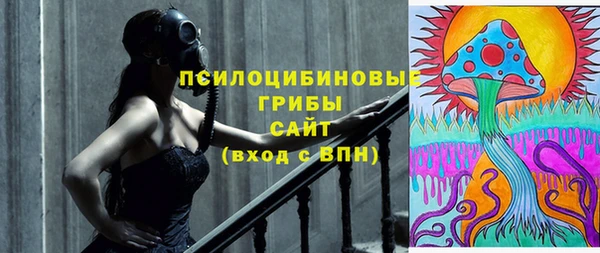 ECSTASY Гусь-Хрустальный