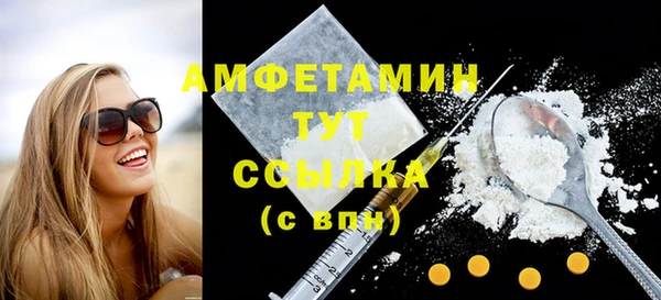 ECSTASY Гусь-Хрустальный