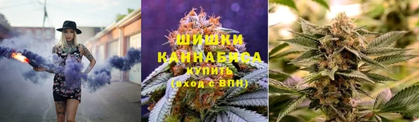 прущая мука Гусиноозёрск